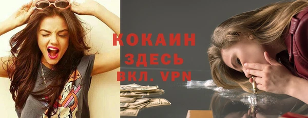 прущие грибы Абаза