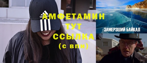 прущие грибы Абаза
