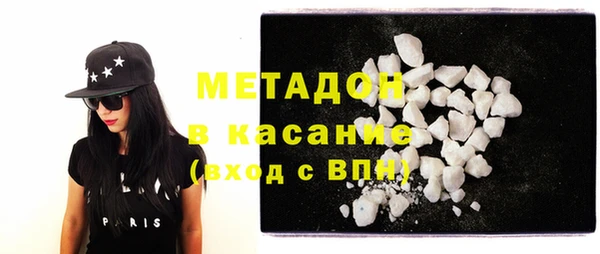 прущие грибы Абаза