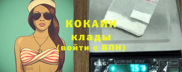 хмурый Магас