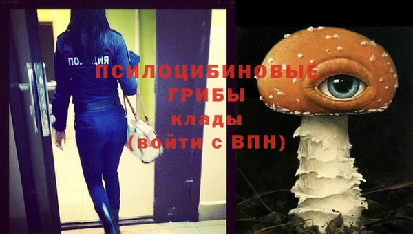 прущие грибы Абаза