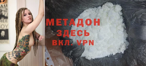прущие грибы Абаза